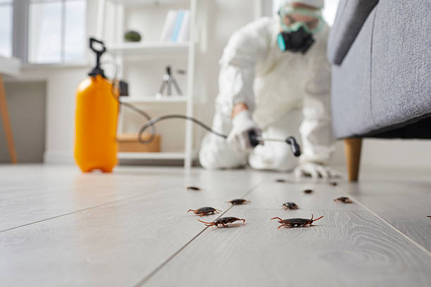 Commercial Kitchen Cockroach Control in Hyattsville